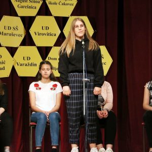 Novinarsko-literarna skupina