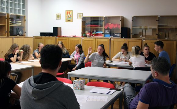 DOMSKE ĆAKULE